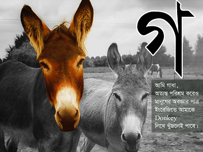 Bangla Letter Series ”গ” adobe photoshop donkey editing graphics design illustraion simple