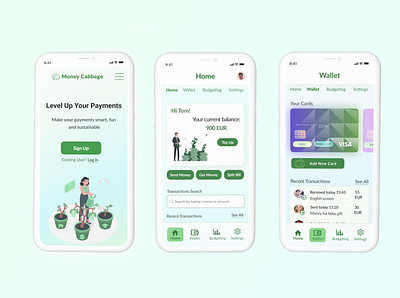 Money Cabbage Fintech web app design fintech ux design web design