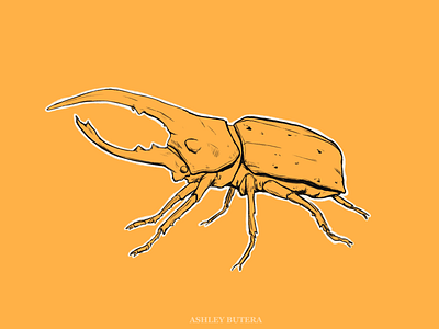 Horned Hercules beetle bug digital art illustration insect