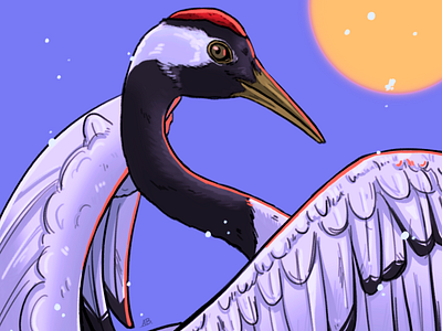 Avian August - Red Crowned Crane bird crane digital art illustration