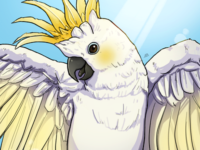 Avian August - Sulphur Crested Cockatoo bird cockatoo digital art illustration