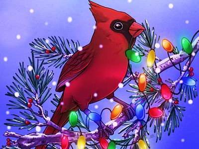 Holiday Cardinal bird cardinal digital art happy holidays holiday illustration
