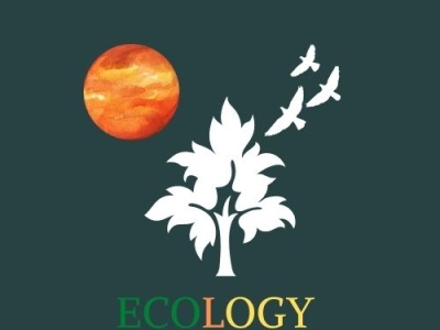 ECO DESIGNS Logo by Christopher D Sims ecological ecology environment environmental design graphic design graphicdesign green