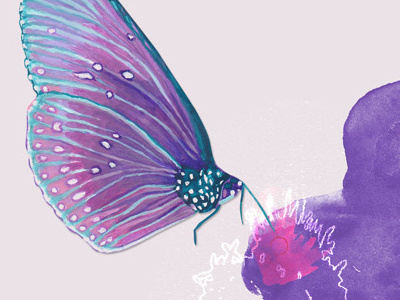 Butterfly  Watercolo Art Giclee Illustration