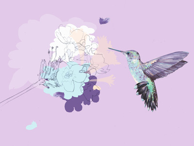 Lavender Hummingbird Illustration bird drawing hummingbird illustration lavender painting watercolor