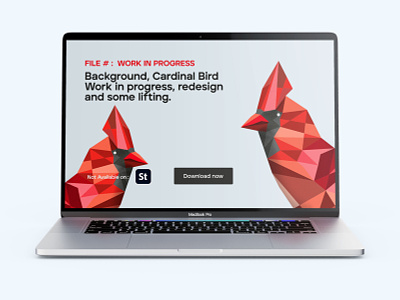 Background work in progress app bird bird illustration branding clean design illustration minimalist poly ui ux vector