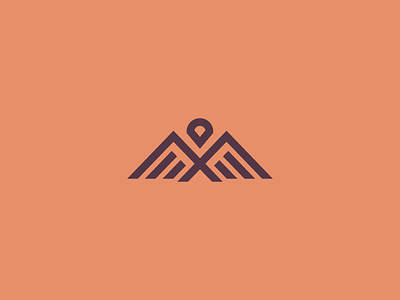 Strong Eagle bird eagle logo minimalist modern pictogram rapacious