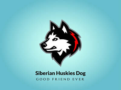 Siberian Huskies Dog