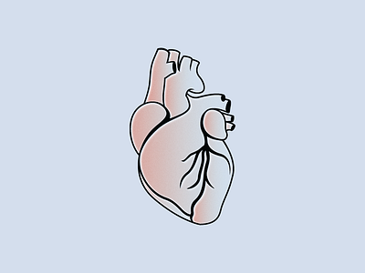 heart heart icon illustration logo organs