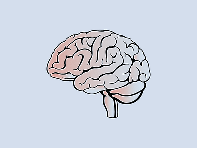 head brain icon illustration logo organs