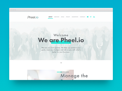 Pheel.io Landing page