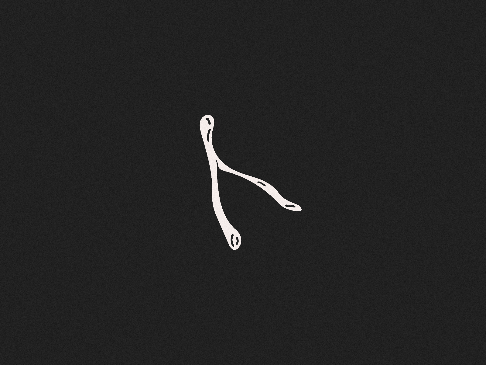 Wishbone by Kernos Supply on Dribbble