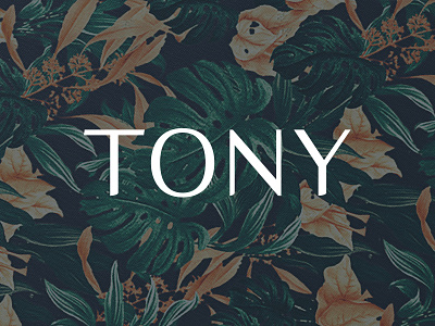 TONY clothing colors fashion identity lettering logo logotype packaging typography
