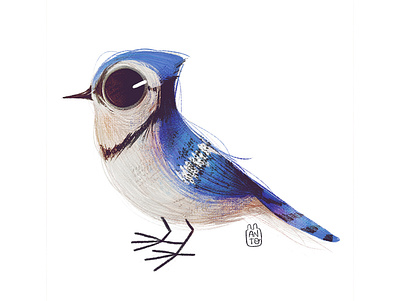 Cute Birds: Bluejay art bird logo bluejay children cute cute animal digital digital art digital painting digitalart illustration procreate