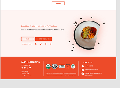 Blog Section Of SPices and Ingridient website animation branding design illustration illustrator ui ui design uidesign ux ux design