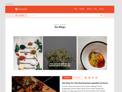 Blog page Of SPices and Ingridient website design illustration typography ui ui design uidesign ux ux design web website