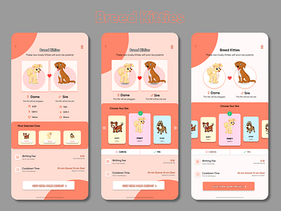 Breed Kittens branding design illustration logo ui ui design uidesign ux ux design vector