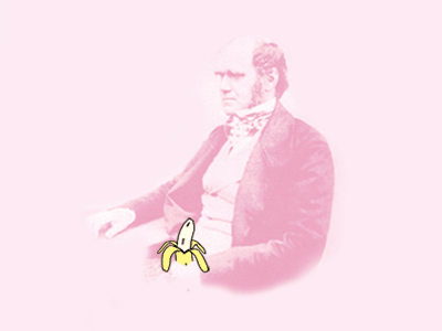 Charles Darwin Likes Bananas book cover fruit darwin illustration