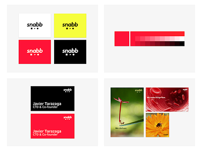 Branding & Concepts business card color palette logo portfolio poster