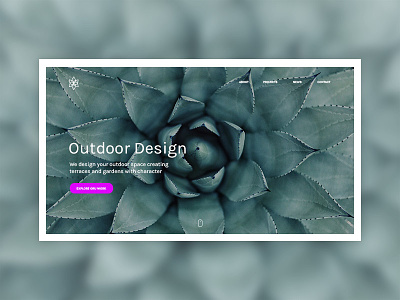 Outdooring design interaction nature outdoor plant projects ux website