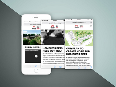 Operation Kindness Capital campaign microsite design nonprofit ux webdesign