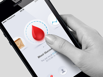 Glucometer interface