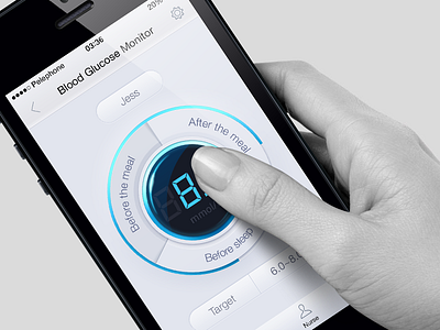 Glucometer interface