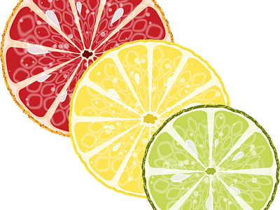 Citrus slices in the section citrus citrus circles design grapefruit illustration lemon lime slices vector
