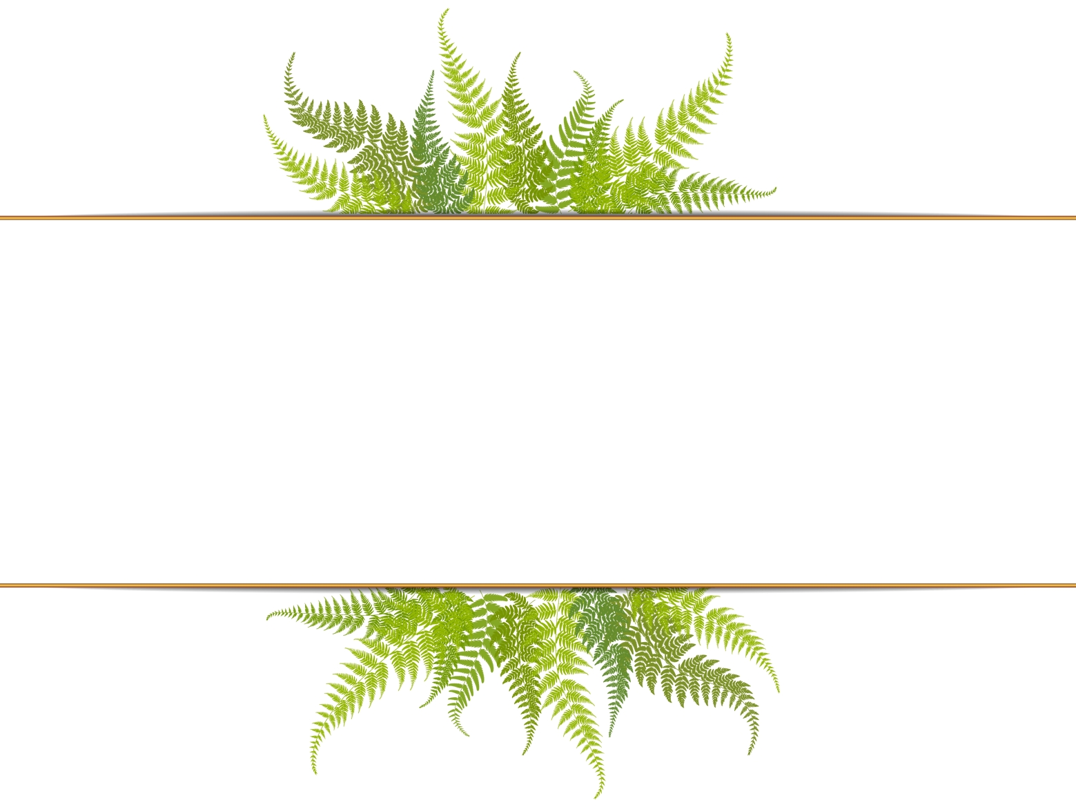 Frame with fern leaves by Елизавета on Dribbble