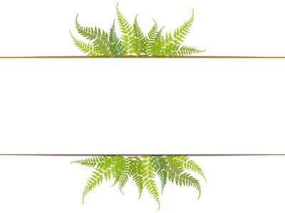 Frame with fern leaves