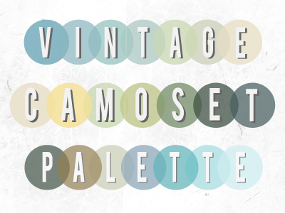 Vintage Camo Palette camoset pallete roygbiv texture