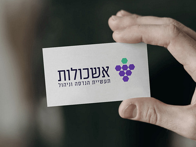 אשכולות branding business card design graphic design illustration logo mockup olive vector