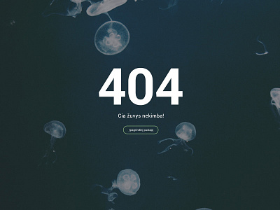 404 error page for fisherman website