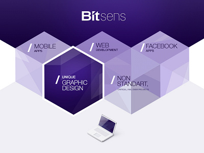 Web in process (elements) fot IT company BITSENS graphic design illustration it ui web design