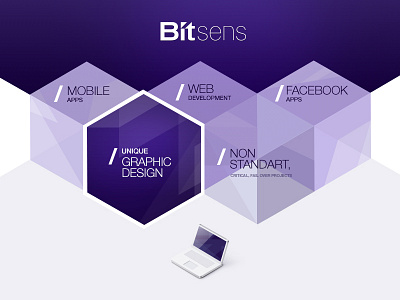 Web in process (elements) fot IT company BITSENS