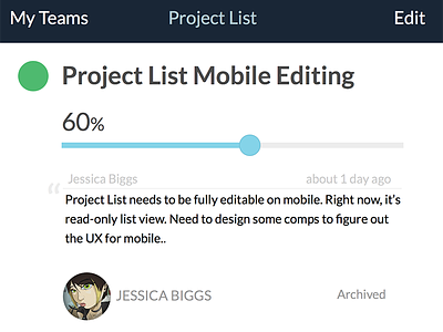 Project List mobile details view