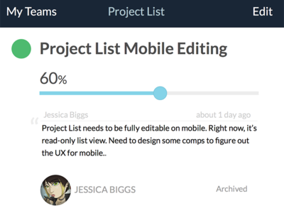 Project List mobile details view