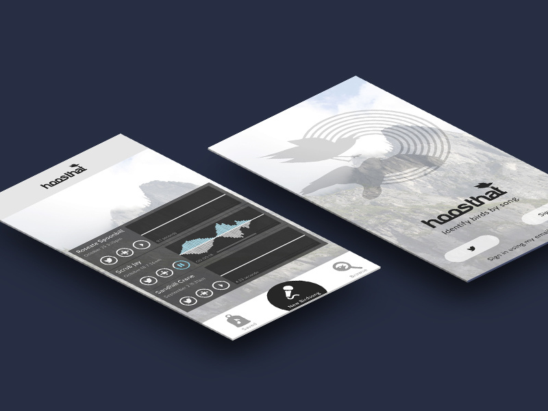 Hoosthat Shot app design soundwave birds mock-up app screen perspective sounds