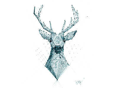 antelope animal drawl illustration