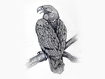 Eagle animal bird draw illustration ink paint paper