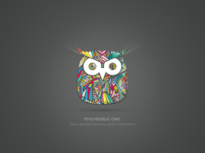 owl owl