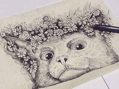 Cat animal black cat draw drawing flower flowers ink paper