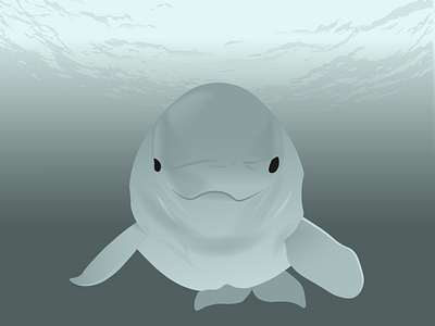 Beluga beluga cute animal design illustration marine ocean