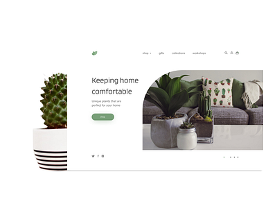Plants clean flowers home homepage minimalist plant plants web webdesign website