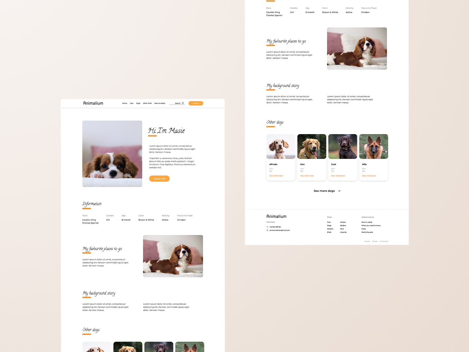 Animal Shelter Details by Jessica Schlüter on Dribbble