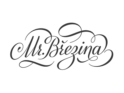 Mr. Březina calligraphy lettering round hand typography
