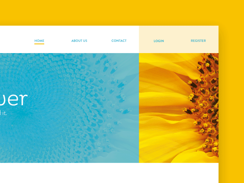 Welcome to Sunflower! animation clean flat flatdesign layout sunflower ui ux web web page webdesign website