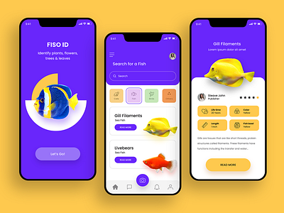 Fiso id #Dailyui app branding color design fish flat illustration paviart ui ux water web website