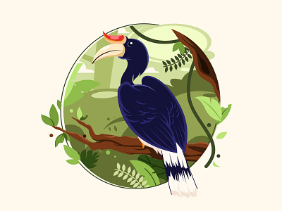 Burung Enggang animal animal art animal illustration art design flat graphic design illustration illustrator logo minimal vector
