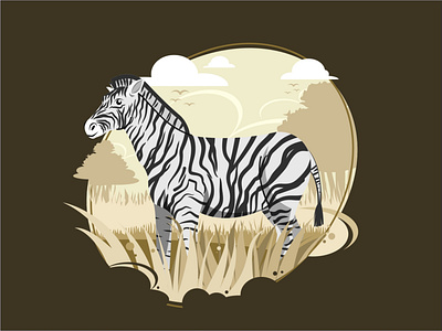 Zebra Illustration